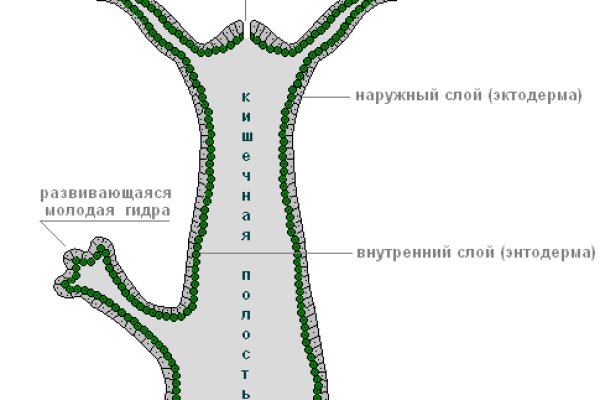 Кракен настоящий сайт