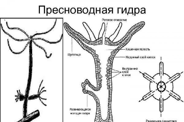 Ссылки кракен 2024